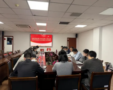 福建省海丝数字科技有限公司党支部召开2025年度组织生活会和开展民主评议党员